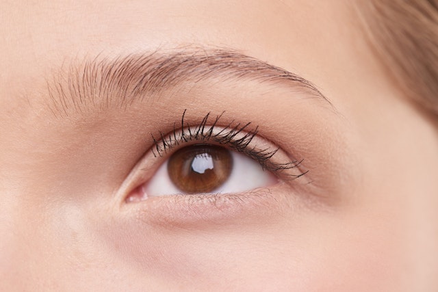 eyebrow_cutsalon_ideal